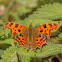 Comma