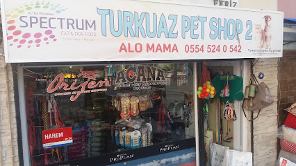 Turkuaz Pet Shop 2