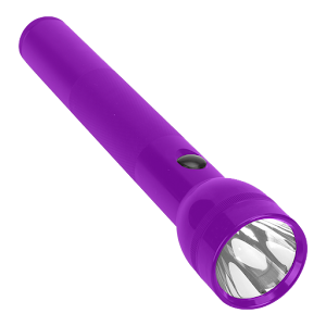 Secure Flashlight Purple