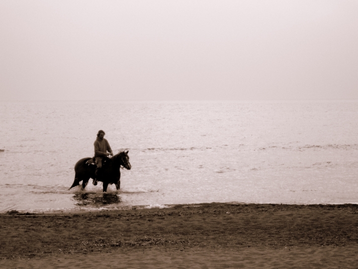 Il mio cavallo di vacanza. di oceanomare