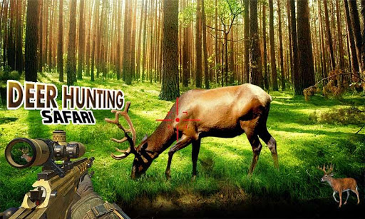 Deer Hunting Safari