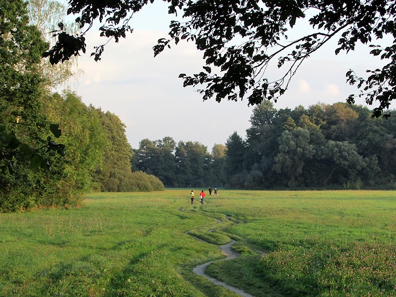 'ENAMORAVIO' DE MORAVIA AUNQUE AL MUNDO LE DE RABIA - Blogs de Checa Rep. - Alrededores de Olomouc: El Morava y Podebrady (6)