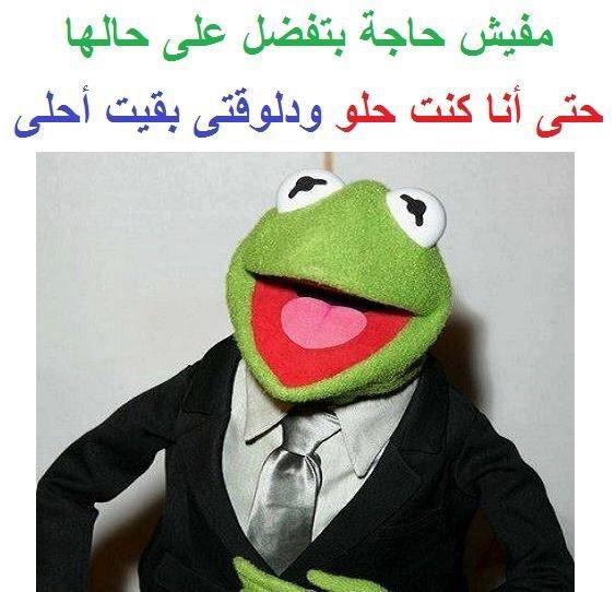 كلمات كيرمت الضفدع مجنون Kermit The Frog 2019 6 2 Apk Download Com Kermitapp Sowar Kermetthefrog Apk Free
