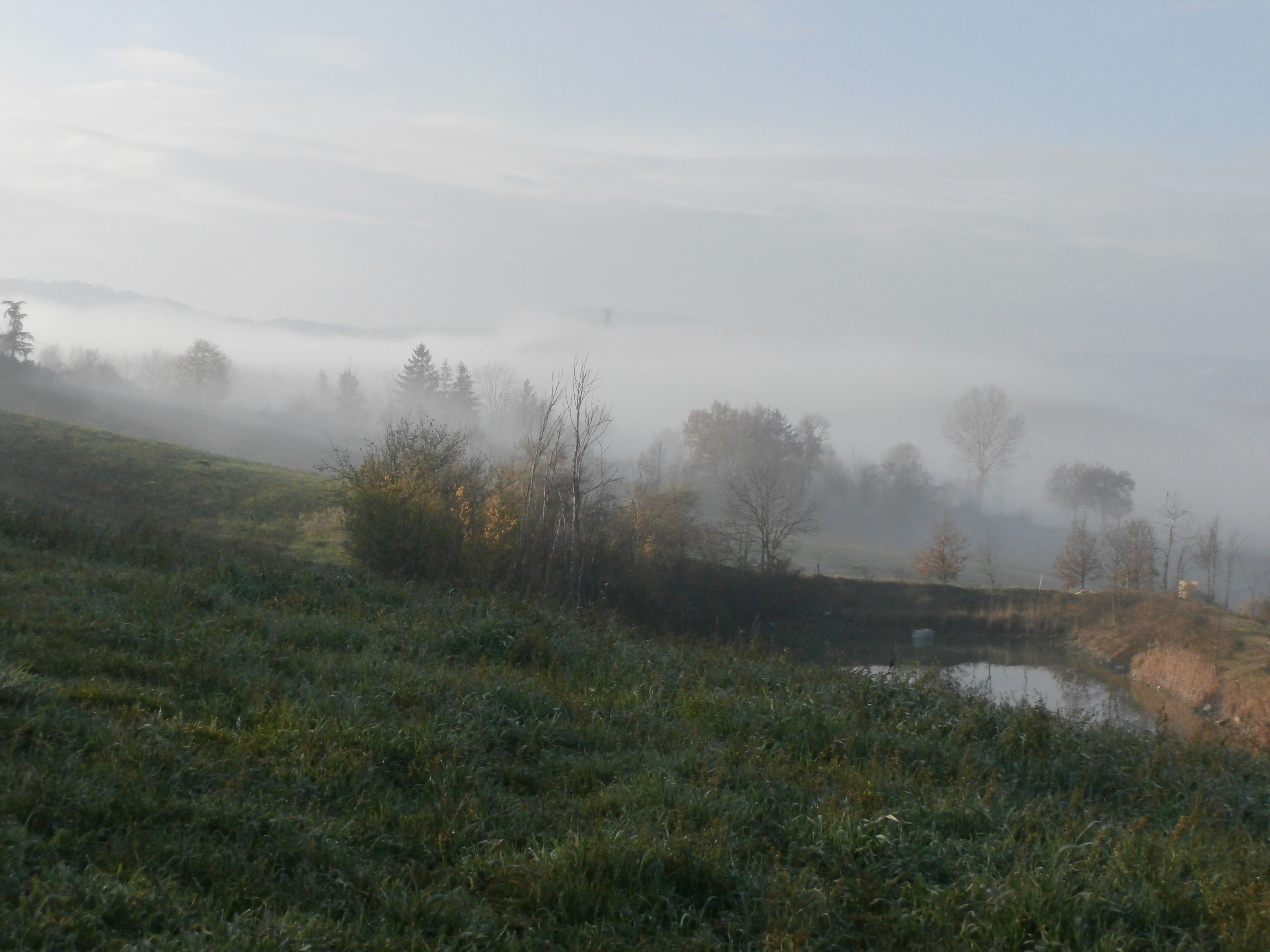 un mattino d autunno di giul