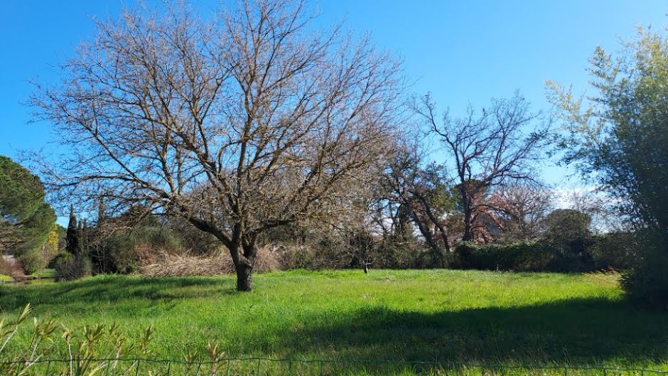 Vente terrain  1544 m² à Vidauban (83550), 190 000 €