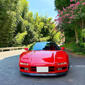 NSX NA1