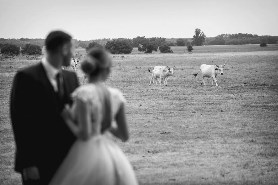 Wedding photographer Janos Szilvasi (szilvasijanos). Photo of 1 December 2018