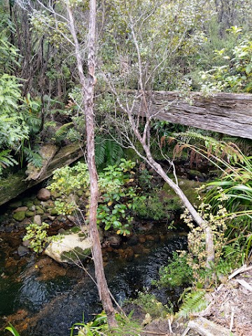 Billygoat Track Long Trestle