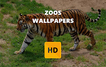 Zoos Wallpaper HD New Tab Theme small promo image