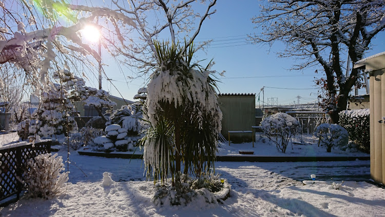 インプレッサ スポーツのコメント不要です・雪が積もったに関するカスタム事例の投稿画像2枚目
