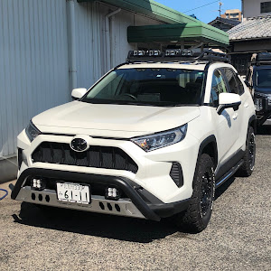 RAV4 MXAA54