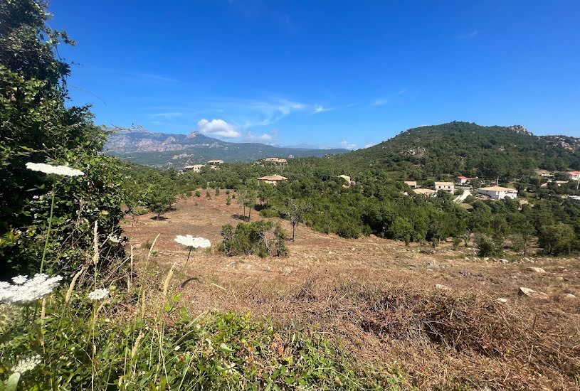  Vente Terrain à bâtir - 12 870m² à Sari-Solenzara (20145) 