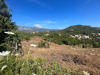 terrain à Sari-Solenzara (2A)