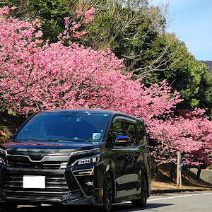 ヴォクシー ZRR80W