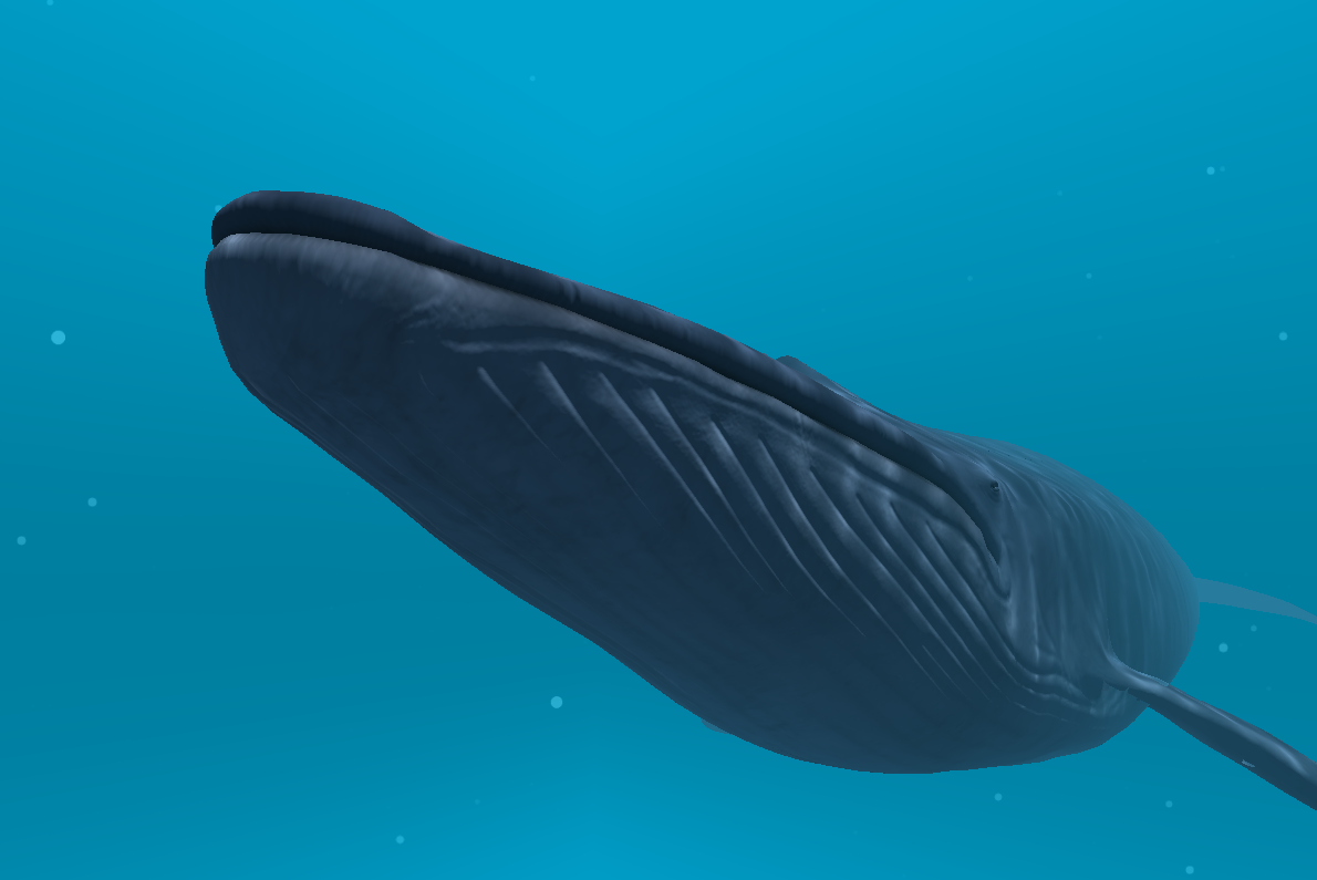   Blue whale VR- 스크린샷 