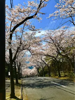 青春じゃない青春。