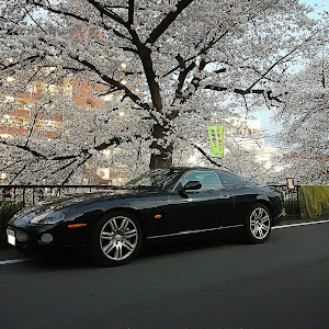 XKクーペ XKR