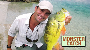 Monster Catch thumbnail