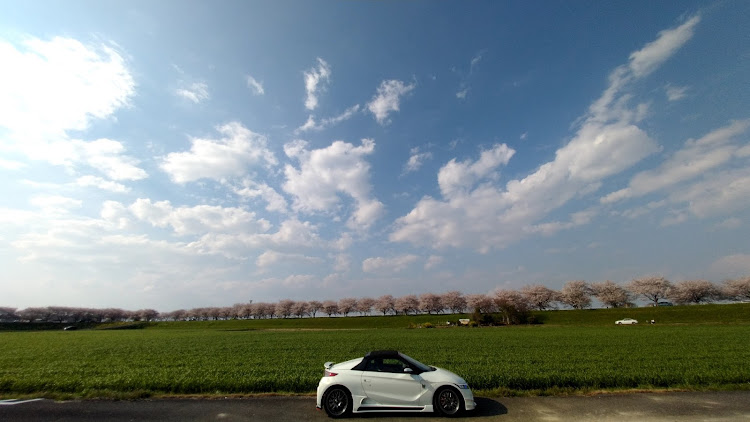 S660のお花見ドライブ・サクラ並木・満開🌸・s660と桜並木に関するカスタム事例の投稿画像3枚目