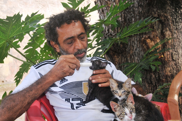 Hussein Mohammad feeds one of his cats with milk during the interview