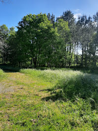 maison neuve à Rion-des-Landes (40)