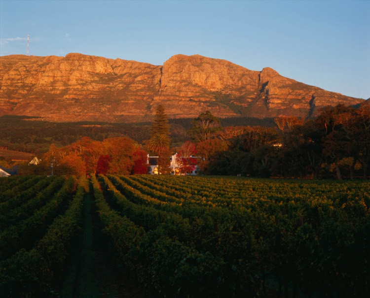 Think of Constantia and wine farms such as Klein Constantia spring to mind. But residents Tahera Karim and Mohamedaly Hanware are locked in a ferocious legal battle encompassing allegations of extortion and sexual assault.