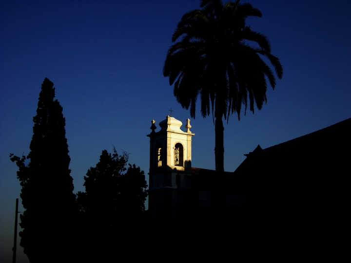 Torre ombreggiante di Alessio Viviani