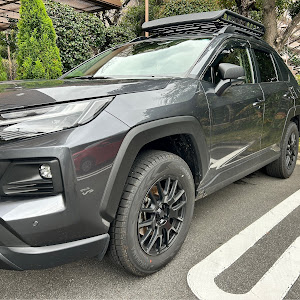 RAV4 AXAH54
