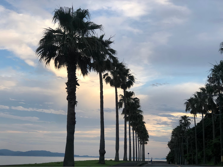 ジェッタのフォルクスワーゲンジェッタ・女性オーナー・ガマフォルニア・７月もよろしくお願いいたします・大雨で被災された皆様へお見舞い申し上げますに関するカスタム事例の投稿画像4枚目