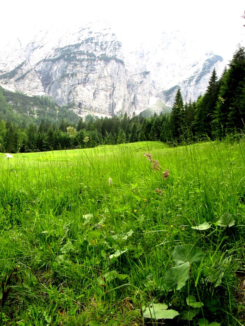 Tra le Alpi Giulie, 2018 di LunaStorta