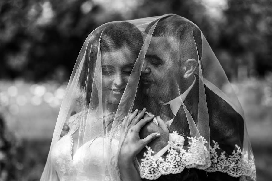 結婚式の写真家Oleg Shvec (svetoleg)。2018 12月9日の写真