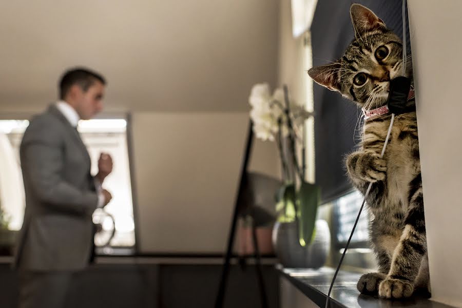 Photographe de mariage Els Korsten (korsten). Photo du 17 août 2020