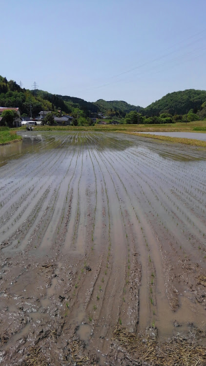 の投稿画像2枚目