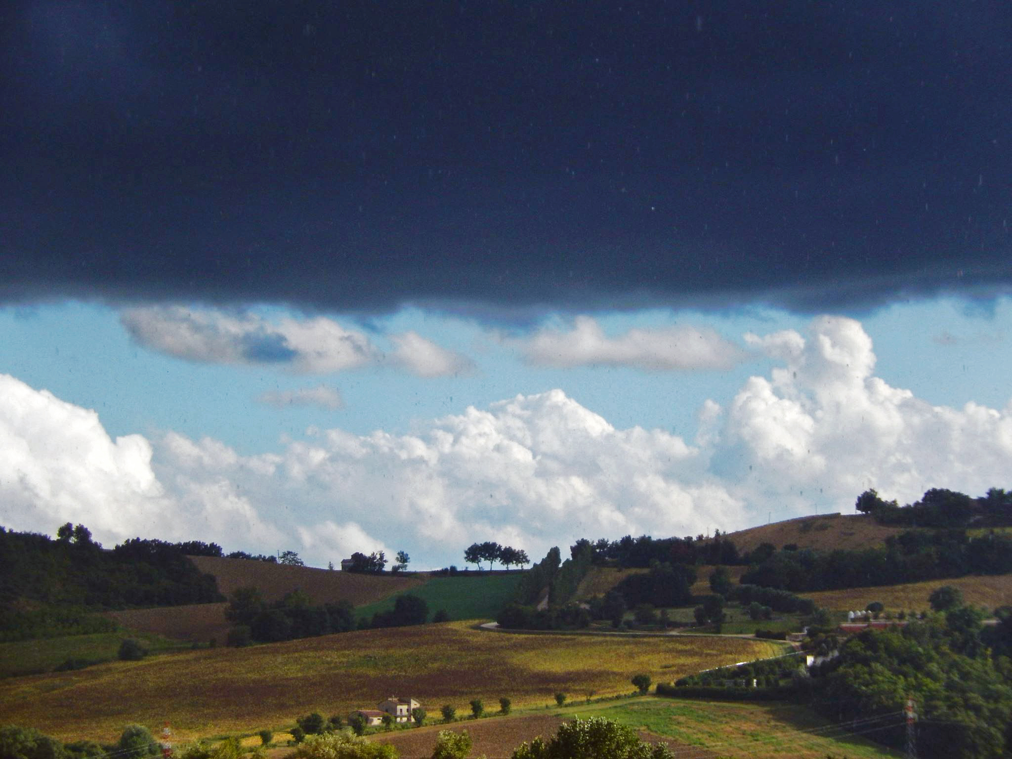 Marzo pazzarello di Enoisullillusione