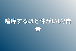 喧嘩するほど仲がいい/青黄