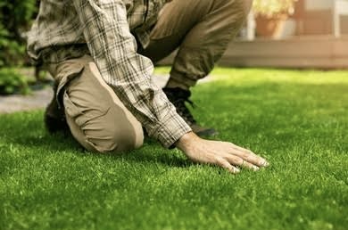 Garden Maintenance Services — business photo 2