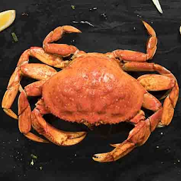 Dungeness Crab