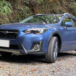 XV