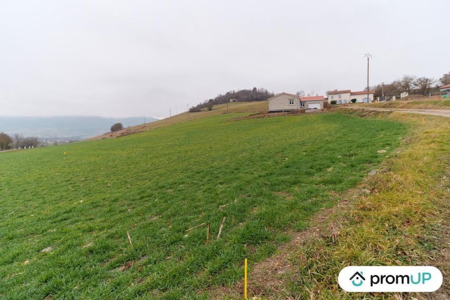 Vente terrain  1263 m² à Beaulieu (43800), 48 000 €