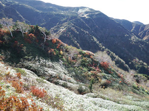 付近の紅葉