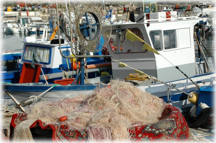 1 l'antico mestiere del mare... di maredamare