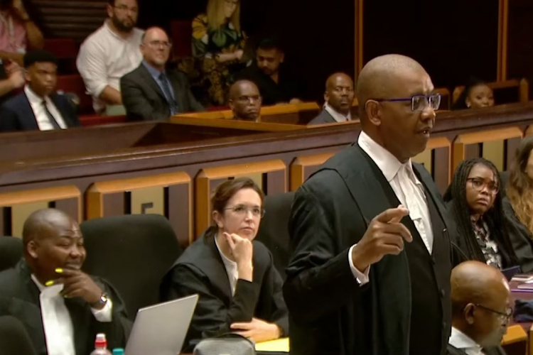 Advocate Dali Mpofu representing former president Jacob Zuma in the private prosecution matter before the Pietermaritzburg high court on Wednesday. Picture: SUPPLIED