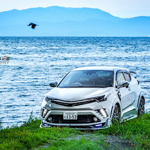 C-HR ZYX10