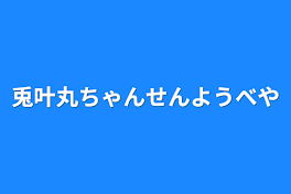 兎叶丸ちゃん専用部屋