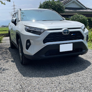 RAV4 AXAH52