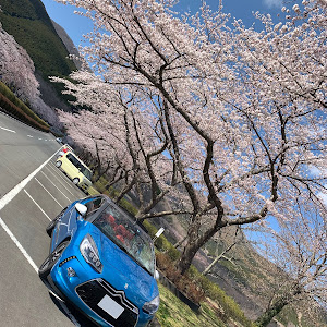 DS3 カブリオ