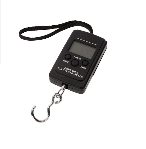 Title 2, Portable Kitchen Express Portable Luggage Scale