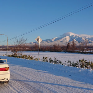 インテグラ DC2