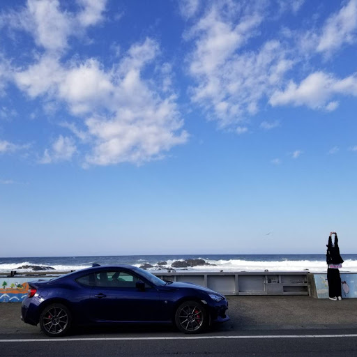 たまのプロフィール画像