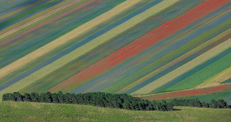 Geometrie naturali di tonino_de_rubeis